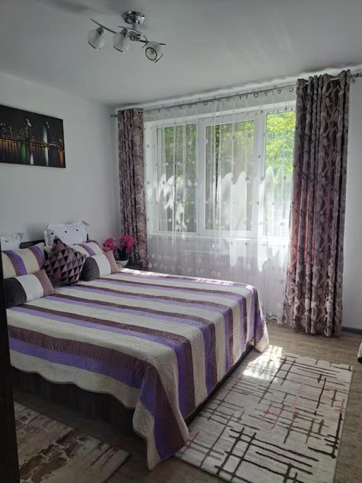 Apartamento Casuta Cu Povesti Câmpina Exterior foto